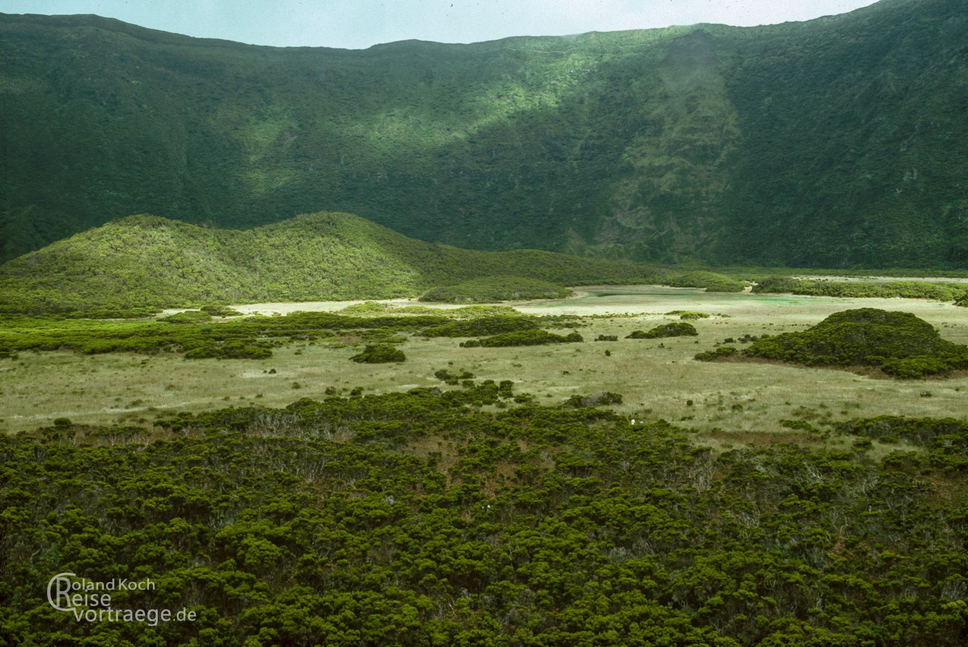 Portugal - Azoren - Faial - Caldera am Cabeço Gordo